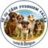 Se Os Cães Pudessem Falar