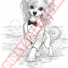Cão de Crista Chinês Colorir