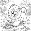 01-1.jpg OS Chow Chows