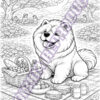 07-1.jpg OS Chow Chows