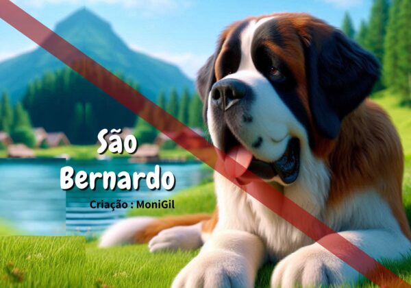1-3.jpg História do São Bernardo - Livro Ilustrado
