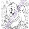 10-1-1.jpg OS Chow Chows