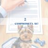 Super Dicas Para Donos Responsáveis, de Cães