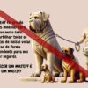História do Mastiff - Livro Ilustrado