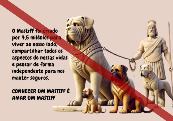 História do Mastiff - Livro Ilustrado