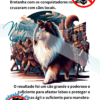 História do Collie Ilustrada