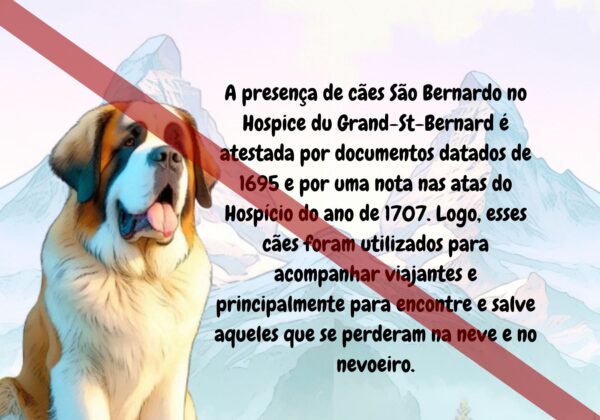 2-2.jpg História do São Bernardo - Livro Ilustrado