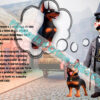 História do Dobermann_Livro Ilustrado