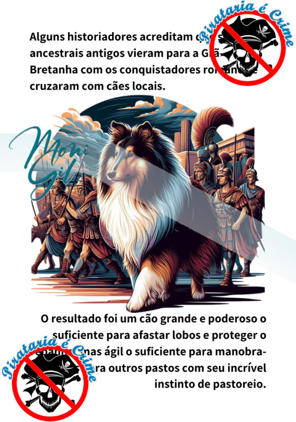 História do Collie Ilustrada