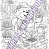 20-1.jpg OS Chow Chows