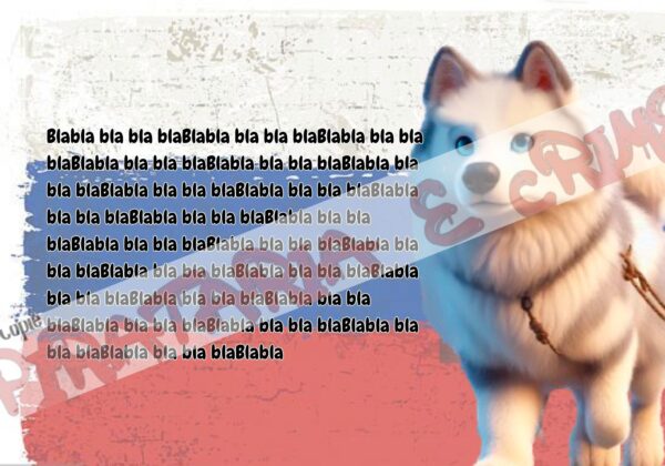 3-1.jpg História do Yakutian Laika - Livro Ilustrado