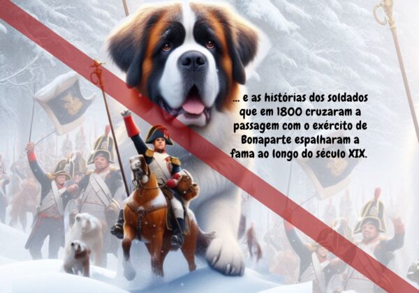 3-2.jpg História do São Bernardo - Livro Ilustrado