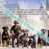 História do Dobermann_Livro Ilustrado