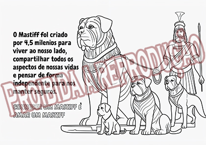 História do Mastiff Para Colorir. - Imagem 2