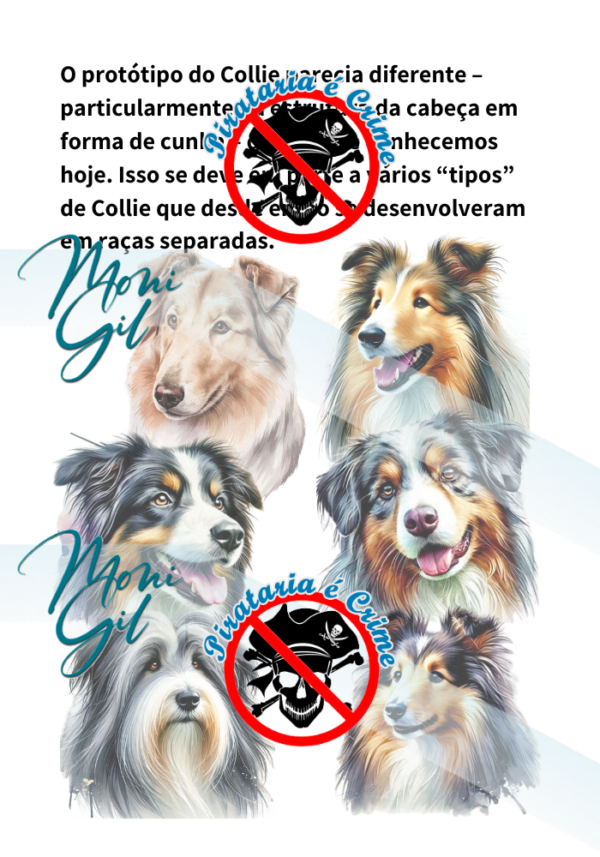 História do Collie Ilustrada
