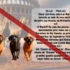 História do Mastiff - Livro Ilustrado