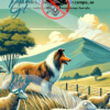 História do Collie Ilustrada