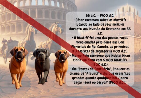História do Mastiff - Livro Ilustrado