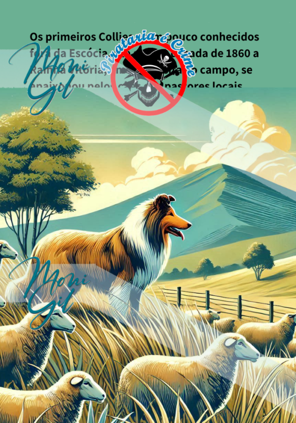 História do Collie Ilustrada