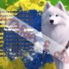4.jpg História do Yakutian Laika - Livro Ilustrado