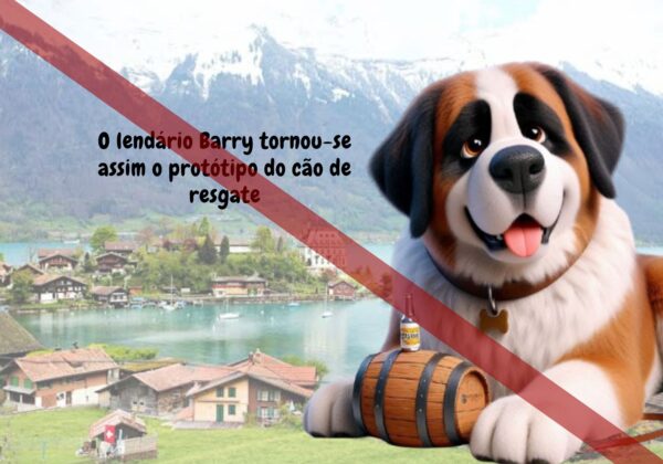 4-2.jpg História do São Bernardo - Livro Ilustrado