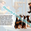 História do Dobermann_Livro Ilustrado