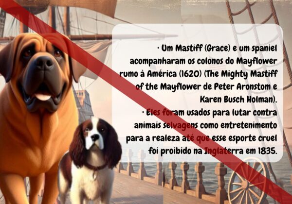 História do Mastiff - Livro Ilustrado