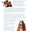 Super Dicas Para Donos Responsáveis, de Cães