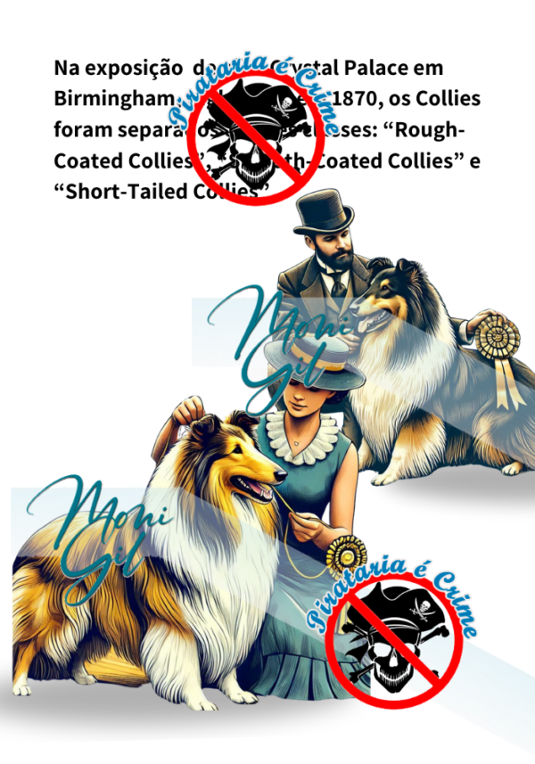 História do Collie Ilustrada