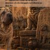 História do Shar-Pei_Livro Ilustrado