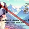 6-2.jpg História do São Bernardo - Livro Ilustrado