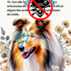 História do Collie Ilustrada