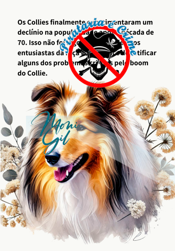História do Collie Ilustrada