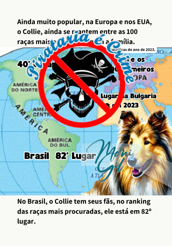 História do Collie Ilustrada