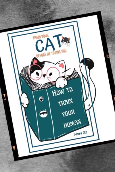 Train Your Cat Before He Trains You