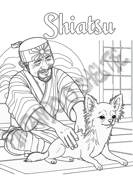 Massagens e Cães - Imagem 4