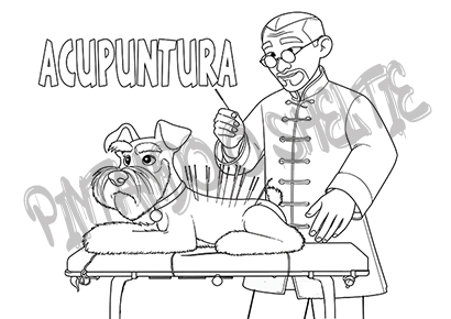 Massagens e Cães - Imagem 3