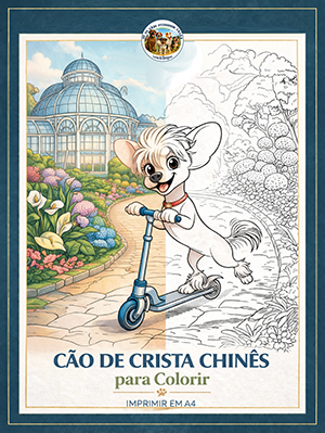 Cão de Crista Chinês - A4