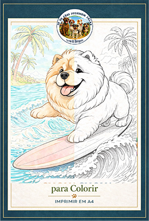 OS Chow Chows