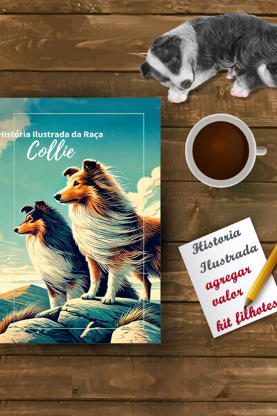 Livro da Raça Ilustrado - Collie