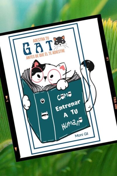 Entrena a Tu Gato Antes de que Te Entrene a Ti