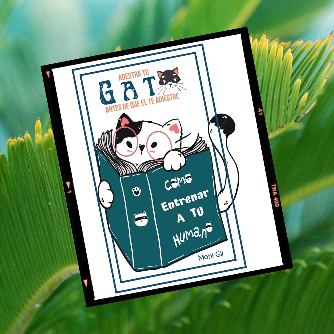 Entrena a Tu Gato Antes de que Te Entrene a Ti