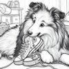 Coleção Pintando o Sheltie 1 - Livro de Colorir