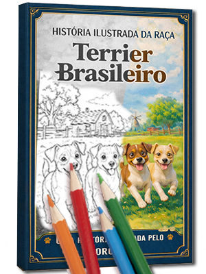 História do Terrier Brasileiro Para Colorir