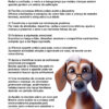 Acolhendo-a-saudade-2a Acolhendo a Saudade: Como Tratar o Luto Infantil