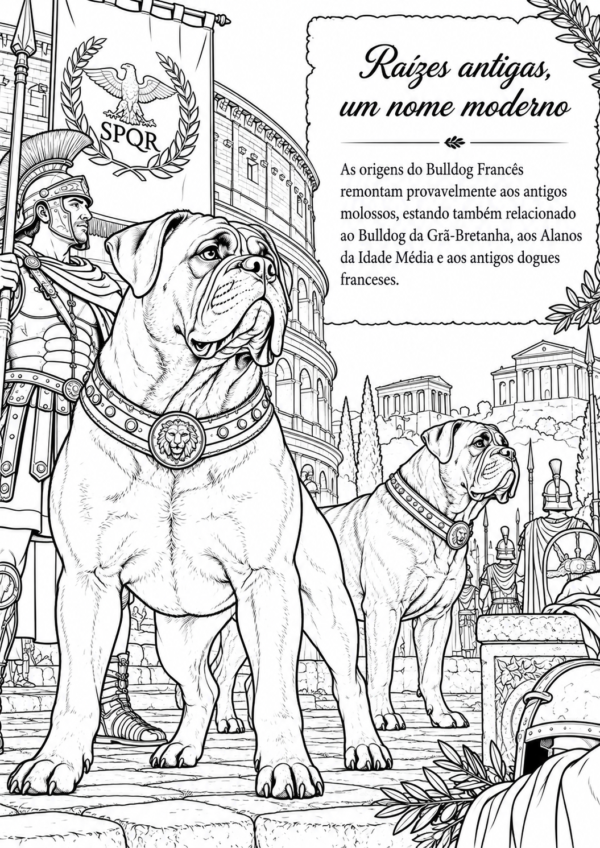 História do Bulldog Francês para Colorir