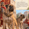 Livro ilustrado sobre a história do Bulldog Francês