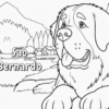 1 História do São Bernardo Para Colorir