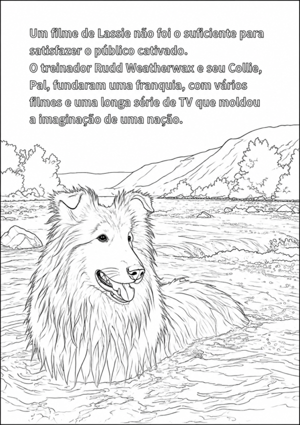 13 História do Collie Para Colorir