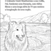 13 História do Collie Para Colorir